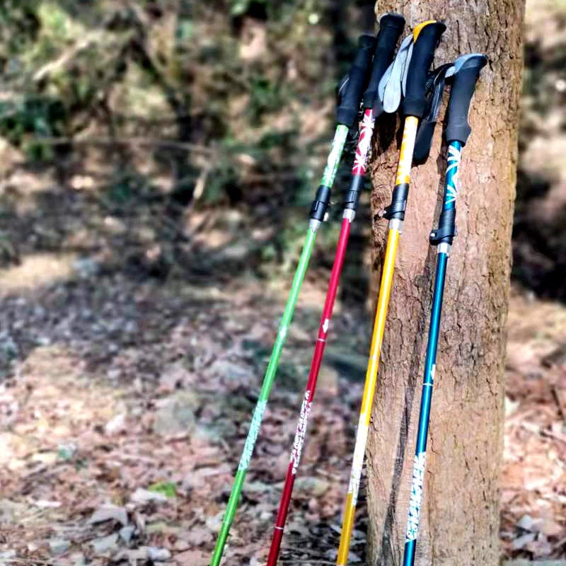 Batons de marche dans la nature